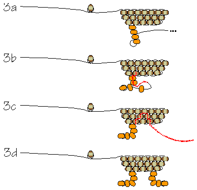 Making the legs (image courtesy of Rings & Things)