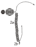 Bend the working wire (Rings & Things' beaded dragonfly barrette project)