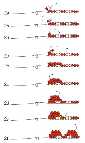 Starting a brick stitch (courtesy of Rings & Things)