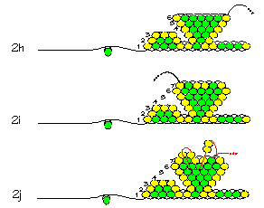 Continue the next 3 rows up... (illustration courtesy of Rings & Things