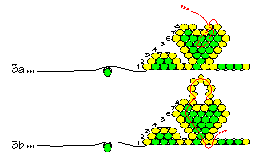 Making the top loop (illustration courtesy of Rings & Things