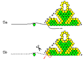 Finishing the shamrock (illustration courtesy of Rings & Things